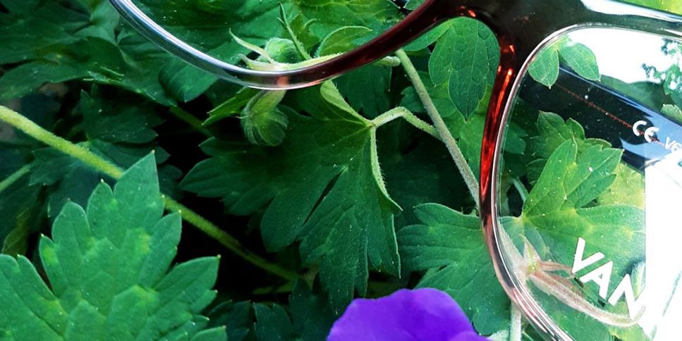 Grundke Optik Augenoptikerin in Hamburg Sehberatung 0
